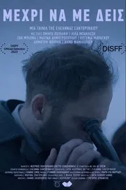 Until You See Me movie poster