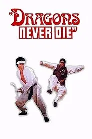 Kung Fu 10th Dan movie poster
