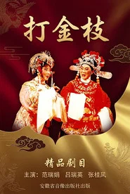 Poster do filme 打金枝
