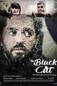 Black Cat movie poster