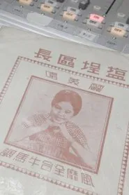 The Chief of Yancheng District movie poster