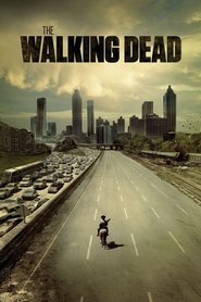 The Walking Dead tv show poster
