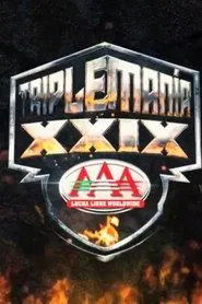 Triplemania XXIX movie poster