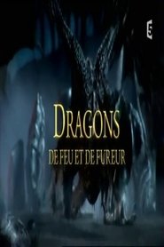 Dragons de feu et de fureur movie poster