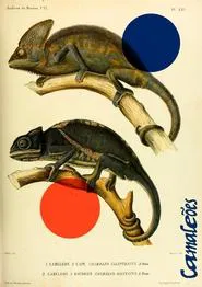 Chameleons movie poster