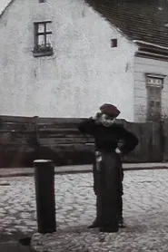 Poster do filme Ein neuer Erwerbszweig