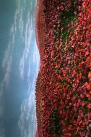 Poster do filme Insomnio doméstico