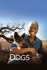 Dogs: An Amazing Animal Family tv show poster