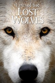 Land of the Lost Wolves tv show poster