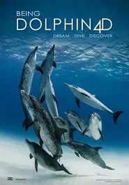 Being Dolphin 4D movie poster