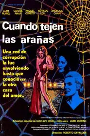 Poster do filme Cuando tejen las arañas