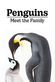 Penguins: Meet the Family movie poster