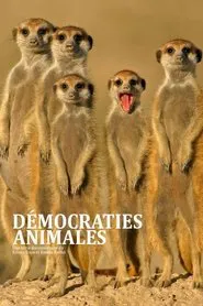 Démocraties animales tv show poster