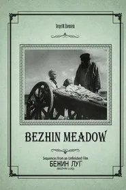 Bezhin Meadow: Sequences from an Unfinished Film movie poster