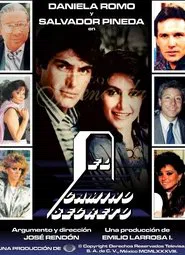 El camino secreto tv show poster