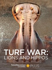 Poster do filme Turf War: Lions and Hippos