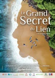 Le Grand Secret du lien movie poster