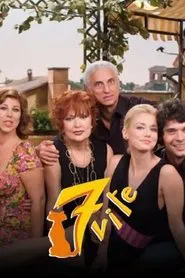 Poster da série 7 vite