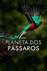 Poster do filme Planeta dos Pássaros
