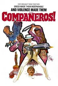 Compañeros movie poster