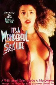 Poster do filme It's a Wonderful Sex Life