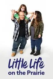 Little Life on the Prairie tv show poster