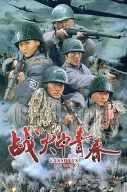 Poster da série 战火中青春