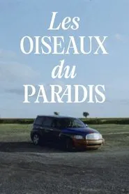 Poster do filme Les oiseaux du paradis