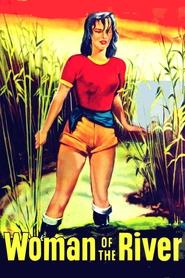 Poster do filme A Mulher do Rio