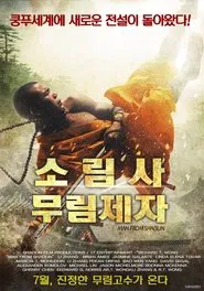Poster do filme Shaolin
