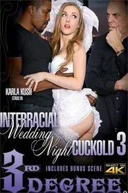 Interracial Wedding Night Cuckold 3 movie poster