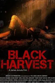 Black Harvest movie poster