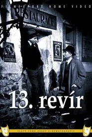 13th district movie poster