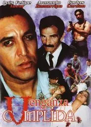 Venganza cumplida movie poster
