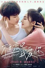 Don't Forget I Love You movie poster