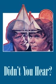 Didn’t You Hear? movie poster