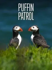 Puffin Patrol movie poster