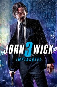 Poster do filme John Wick 3: Parabellum