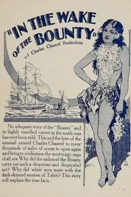 In the Wake of the Bounty movie poster