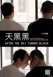After the Sky Turned Black movie poster