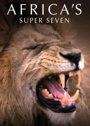 Africa's Super Seven movie poster