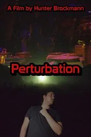 Poster do filme Perturbation