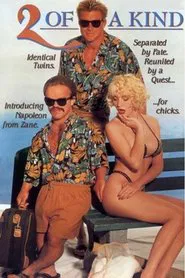 Two Of A Kind movie poster