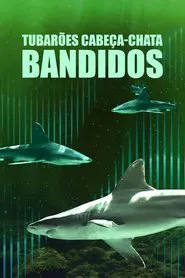 Poster do filme Tubarões Cabeça-Chata Bandidos