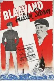 Blaavand melder storm movie poster
