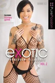 Exotic Forbidden Pleasures 2 movie poster