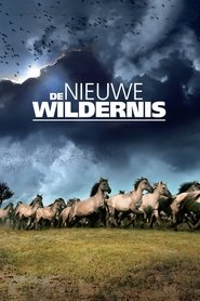 The New Wilderness movie poster