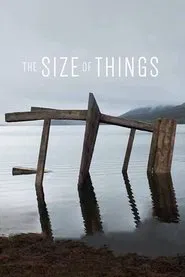 The Size of Things movie poster