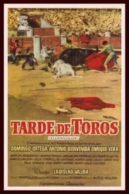 Afternoon at the Bulls movie poster