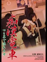 痴漢電車 つり革で濡れる女 movie poster